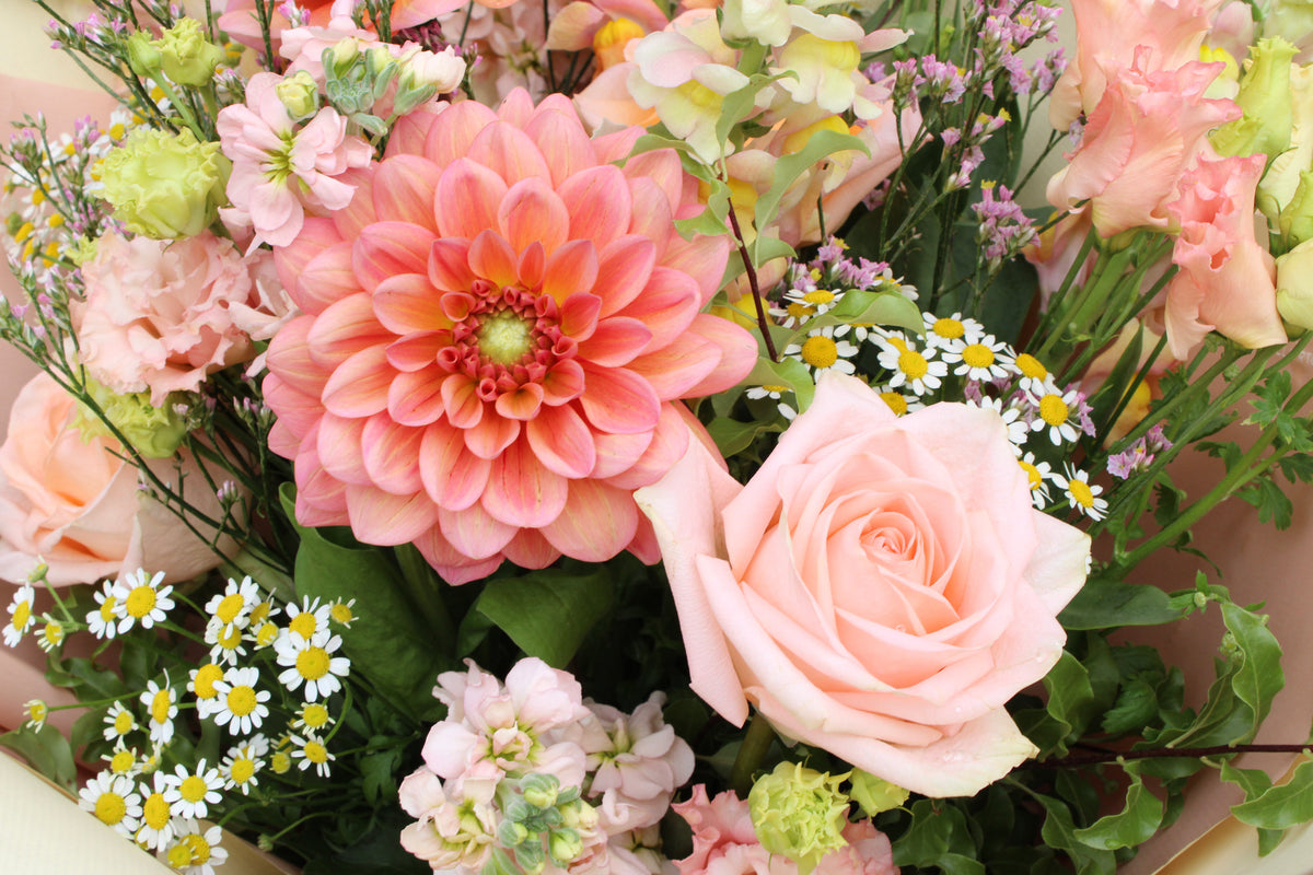 The Peach Billini bouquet by Wild About Flowers is a hand-tied arrangement featuring a large pink dahlia, pale pink rose, small white daisies with yellow centers, light pink filler flowers, and green foliage.