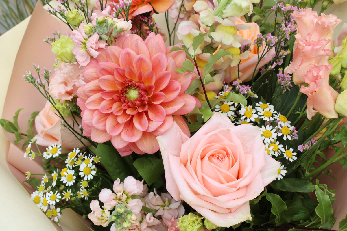 The Peach Billini bouquet by Wild About Flowers features a hand-tied mix of large pink dahlia, pale pink roses, small white daisies, seasonal summer blooms, and lush greenery for a delicate, fresh arrangement.