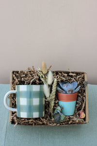 The Wild About Flowers New Housemates Gift Box includes a green and white checkered mug, a potted botanical plant, and dried flowers in eco-friendly packaging—a thoughtful housewarming gift.