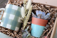 The New Housemates Gift Box by Wild About Flowers features eco-conscious packaging, a green plaid mug, a small succulent in a terracotta-turquoise pot, and dried lavender, wheat, and other flowers—perfect for housewarmings.