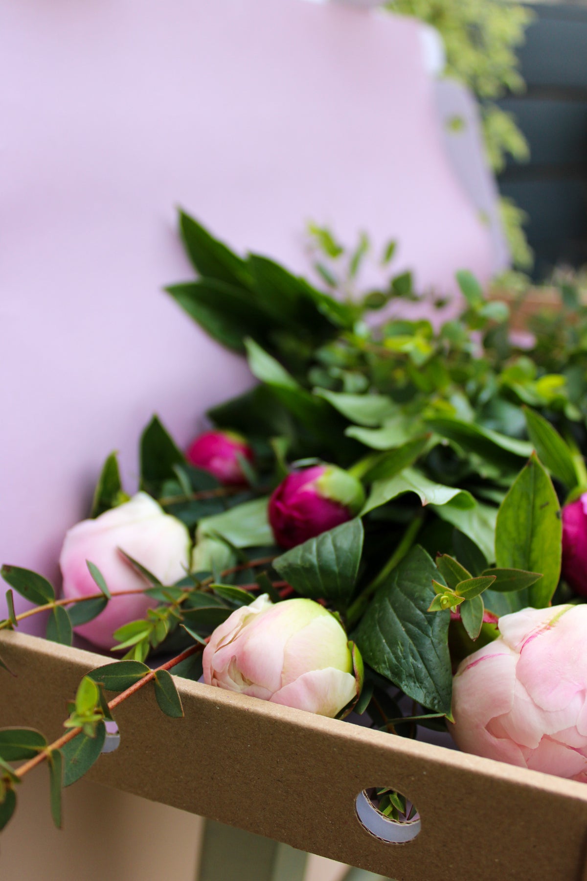A cardboard box of fresh green leaves and pink Peonies by Post from Wild About Flowers—perfect letterbox-friendly blooms—rests against a soft purple background.