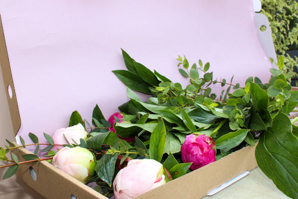 Experience the perfect Peonies by Post from Wild About Flowers: fresh green stems and pink peony blooms, some budding and others partially open, beautifully presented on light pink tissue paper in a cardboard box.