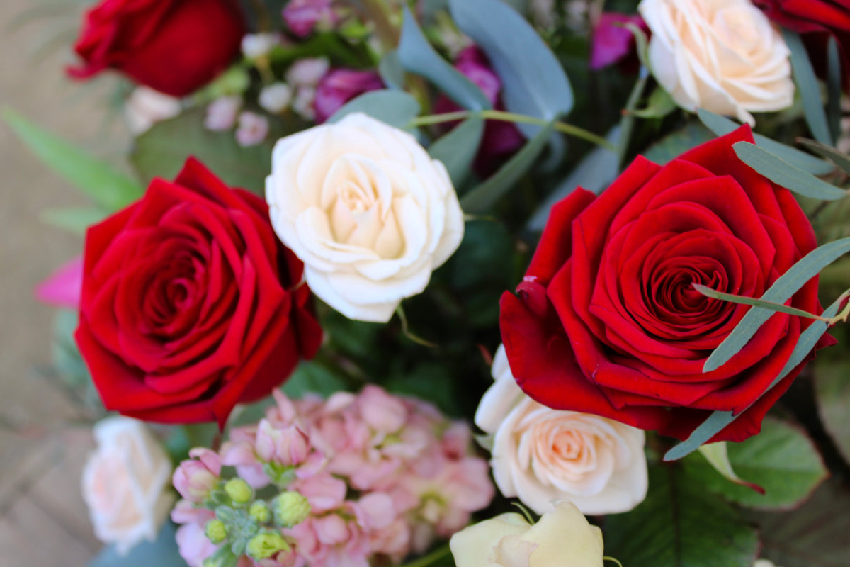 The Valentine's Day Blooms by Wild About Flowers features a romantic arrangement with vibrant red and white roses, small pink flowers, and eucalyptus leaves, creating a lush backdrop for perfect Valentine's gifts.