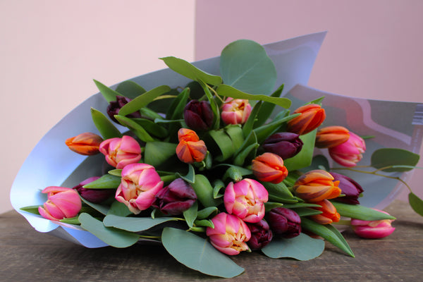 The Wix Armful of Tulip Bouquet showcases vibrant pink, orange, and deep purple tulips with large green leaves. It's elegantly wrapped in light blue paper and beautifully displayed on a wooden surface with a light pink background.