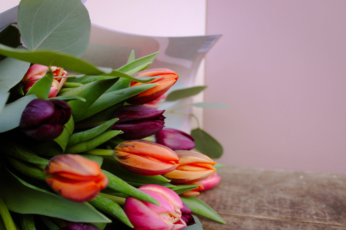 A close-up of Wix's Armful of Tulip Bouquet displays vibrant tulips with orange, pink, and deep purple petals, enhanced by lush green leaves. This romantic gift rests gracefully on a wooden surface against a pale pink background.